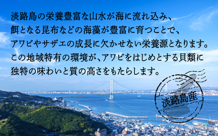 天然活アワビ・活サザエセット(3人前用）淡路島産