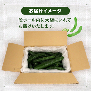 訳あり きゅうり 約4kg きゅうり きゅうり きゅうり きゅうり きゅうり