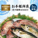 【ふるさと納税】竹中水産の一押し「お手軽鮮魚」1キロ前後【C22-235】【配送不可地域：離島、北海道、沖縄県】【1073396】