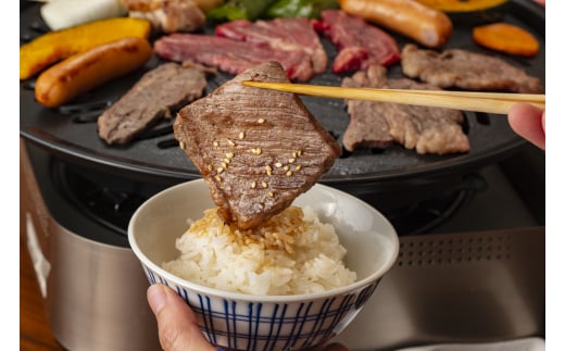 佐賀牛ロース 焼肉用 400g | 肉 お肉 ロース 焼肉 焼き肉 赤身 霜降り 国産 国産牛 国産和牛 ギフト 贈答品 贈り物