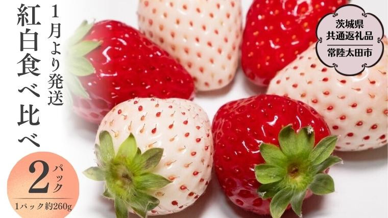 
            【 2026年 先行予約 】紅白 食べ比べセット いちご（ 2パック × 1箱 ) （茨城県共通返礼品／常陸太田市）フルーツ 苺 イチゴ いちご 新鮮 朝採れ 茨城県 桧山FRUITFARM [DY019sa]
          