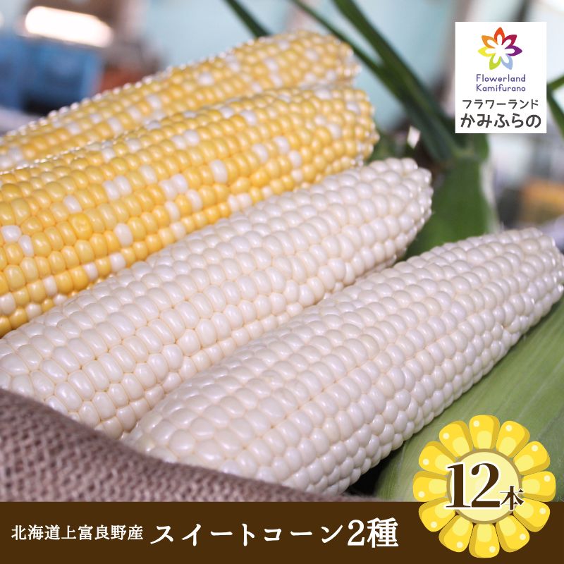 【ふるさと納税】【北海道上富良野町産】スイートコーン 黄色6本・白色6本セット（計12本） 野菜 とうもろこし トウモロコシ 　お届け：2025年8月中旬～9月上旬