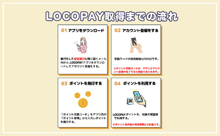 LOCOPAYデジタル返礼ポイント【30,000ポイント】_B167-004