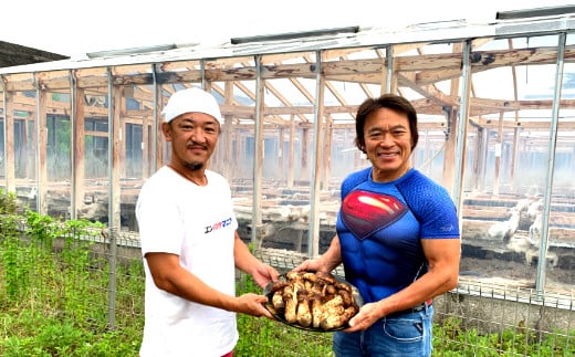  田野屋塩二郎の松茸塩『芳香』10ｇ 数量限定 完全天日塩 国産松茸塩 田野屋塩二郎 世羅の大地 松茸 塩 松茸塩 お塩 しお 天然塩 国産 調味料 料理 つけ塩 食用 海水 肉 海鮮 常温