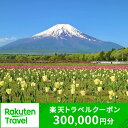 【ふるさと納税】山梨県山中湖村の対象施設で使える楽天トラベルクーポン 寄附額 1,000,000円