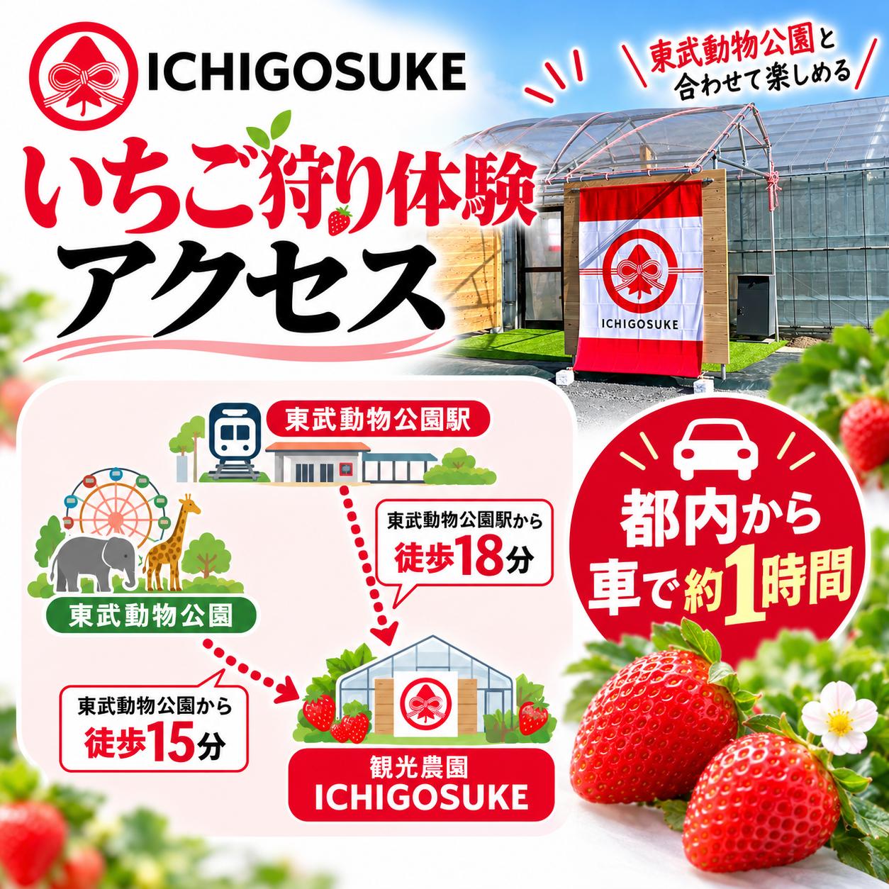 いちご狩り体験 大人1名・2名・子供1名・2名 チケット 都内から約1時間 東武動物公園すぐ 埼玉県 宮代町 
