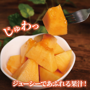 【2026年 先行予約 】贈答用 貴味メロン 赤肉 2玉 メロン メロン メロン メロン メロン メロン メロン メロン