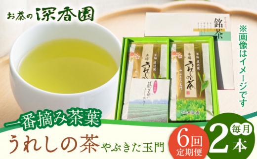 
【6回定期便】一番摘み茶葉使用 うれしの茶 2本入（やぶきた 玉門 100g×2本） /お茶の深香園 [UAF008] 茶 お茶 緑茶 日本茶 煎茶
