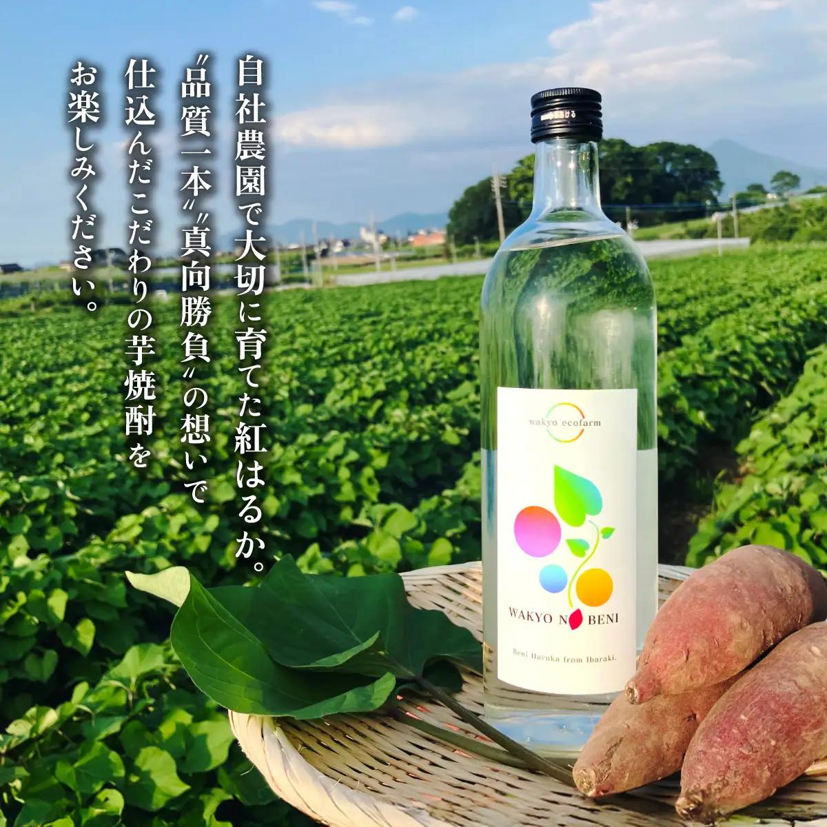 芋焼酎 和饗の紅 720ml 1本 芋焼酎 贈答用ラッピング付き 