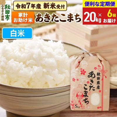 ふるさと納税 秋田市 先行受付《定期便6ヶ月》あきたこまち20kg 白米|15_kml-212006hs