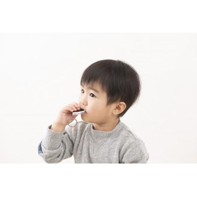 ふるさと納税 鯖江市 眼鏡の素材から生まれた、動物の形をしたお守りホイッスル　effe pensiero　カエル |  | 02