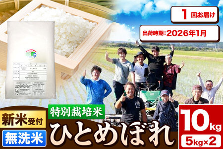 《新米受付》令和7年産【無洗米】特別栽培米 ひとめぼれ 10kg（5kg×2袋）秋田県産【2026年1月出荷】