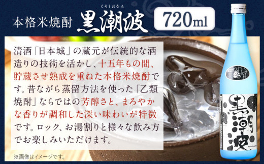 本格米焼酎黒潮波紀州完熟南高梅梅酒720ml×各1本2本セット厳選館《90日以内に出荷予定(土日祝除く)》酒焼酎果実酒---wshg_genknku_90d_22_13000_2p---