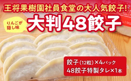 大判48餃子 F2Y-2814