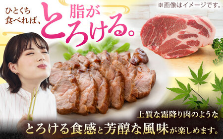 豚肩ロース 沖縄県産豚肉 肩ロースブロック 約1.8kg (900g×2P)  BCAJ006 豚肉