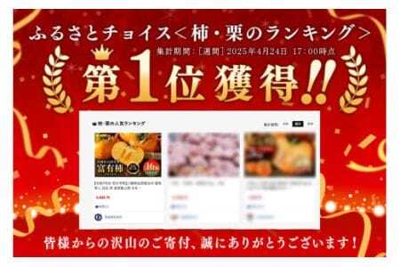 【令和7年分 先行予約】八郷柿出荷組合の 富有柿 L 16玉 柿 皇室献上柿 かき 富有カキ ( 1箱 ) 果物 フルーツ くだもの カキ 富有かき 秋 旬 高級 糖度 贈答用 贈答品 ギフト 贈り物