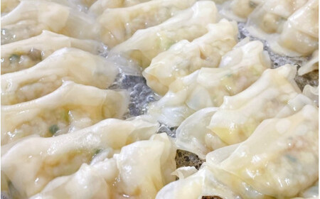 にんにく餃子セットギフトBOX　計50個（25個入り×2パック） / 和歌山県 田辺市 ぎょうざ ギョウザ ギョーザ 手作り 紀州うめぶた 無添加 冷凍【gyz016】