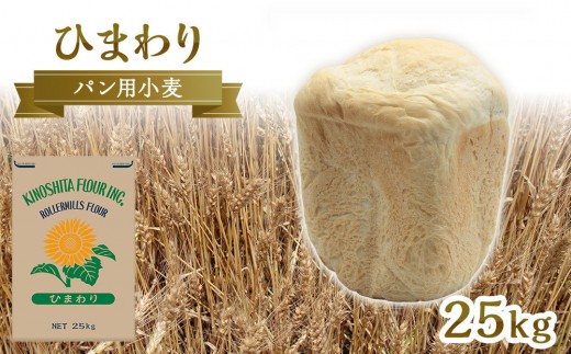 パン用小麦粉「ひまわり」25kg【 小麦 小麦粉 粉 パン用 穀物 こむぎ こむぎこ 人気 おすすめ 香川県 坂出市】
