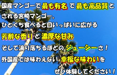 《期間・数量限定》 完熟！宮崎マンゴー　特秀 大玉4Lサイズ約600g　1玉化粧箱入り