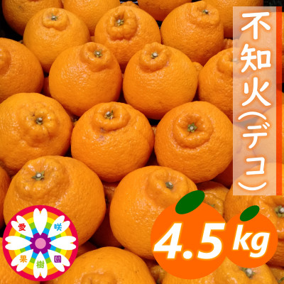 
愛咲果樹園 「 不知火 ( デコ )」約4.5kg＜C71-12＞_ みかん ミカン 柑橘 くだもの 果物 フルーツ 不知火 しらぬい デコ ジューシー 甘い 贈答 ギフト プレゼント 常温 デザート 産地直送 産直 愛媛 【1344721】
