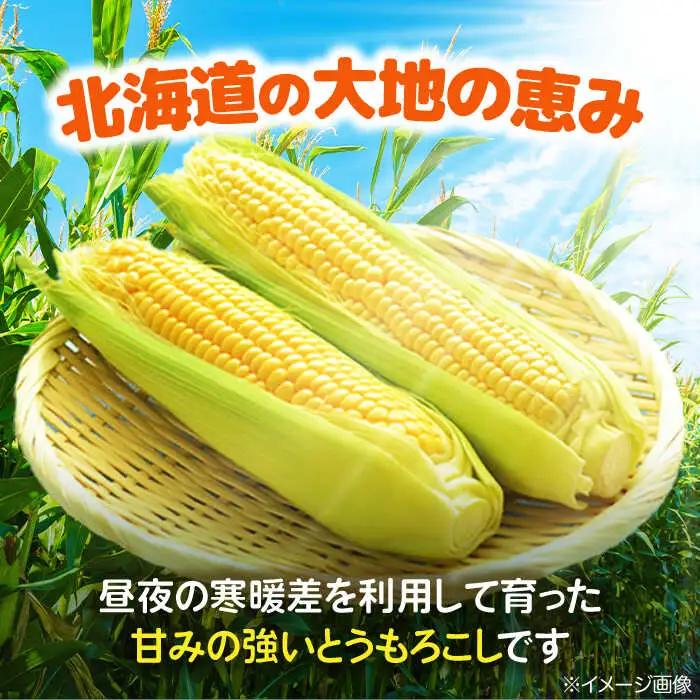 自然甘ホールコーン 缶詰 24缶 [AJAG009] 缶詰 北海道