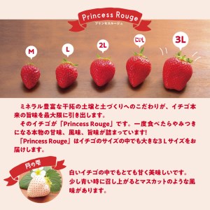 【先行受付】しあわせ届けるいちご農園HappyComeComeの紅白いちご2品種食べ比べセット 400g以上〈2023年12月中旬から発送開始予定〉A-125a