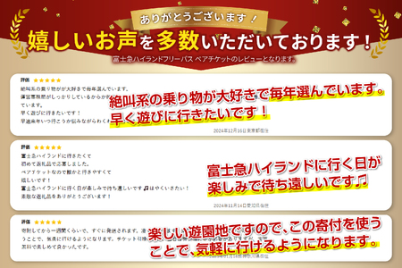 富士急ハイランド ワンデイパス ペアチケット【 遊園地 テーマパーク 富士吉田 】