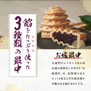 最中ざんまい14個入り(お城最中7個・姫最中3個・金柑入りお城最中4個）