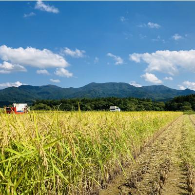 ふるさと納税 新庄市 魅惑のはえぬき(精米)10kg(5kg×2袋)　令和8年産 |  | 01