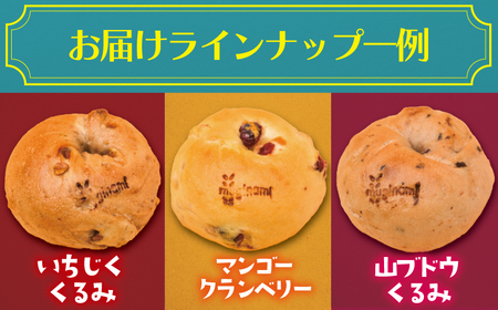 ベーグル 12個 詰め合わせベーグル 「muginami BAKERY」