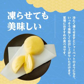 かすたどん 24個入　K167-002