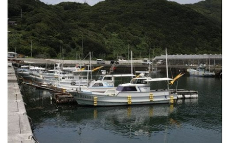 【数量限定】佐田岬海士のあわび・さざえセットA 計3kg ※北海道・東北地方・沖縄・離島への配送不可 IKTJ001