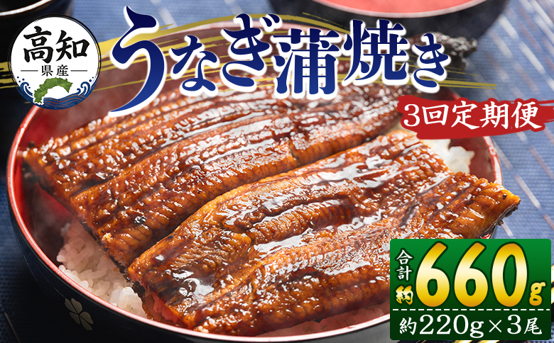 【３回定期便】高知県産養殖うなぎ蒲焼き 約220g×３尾 うなぎ 魚介 国産 海鮮 魚 かばやき 鰻 ウナギ 惣菜 おかず お手軽 加工品 加工食品 冷凍 Wfb-0066