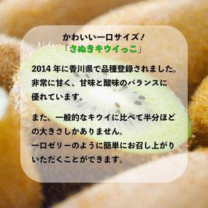 【11月上旬から12月下旬の間で順次発送】 一口サイズ！ さぬきキウイっこ 約3kg キウイ 【goshiki030】
