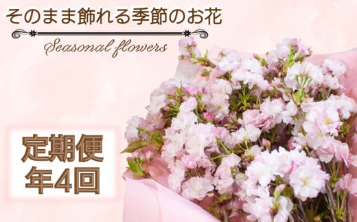 季節のお花 定期便 年4回 おまかせ 草花 誕生日 記念日 母の日 父の日 敬老の日 ギフト プレゼント お祝い 贈り物 贈答 インテリア おしゃれ かわいい 雑貨 飾り 鑑賞 旬 植物 春夏秋冬 季節 自宅用 下関 山口