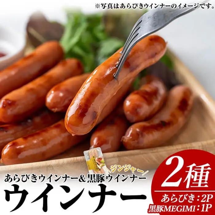 ウインナー セット (2種・あらびき 2P、ナンチク の 黒豚 MEGUMI ジンジャー1P) 豚肉【ナンチク】A778