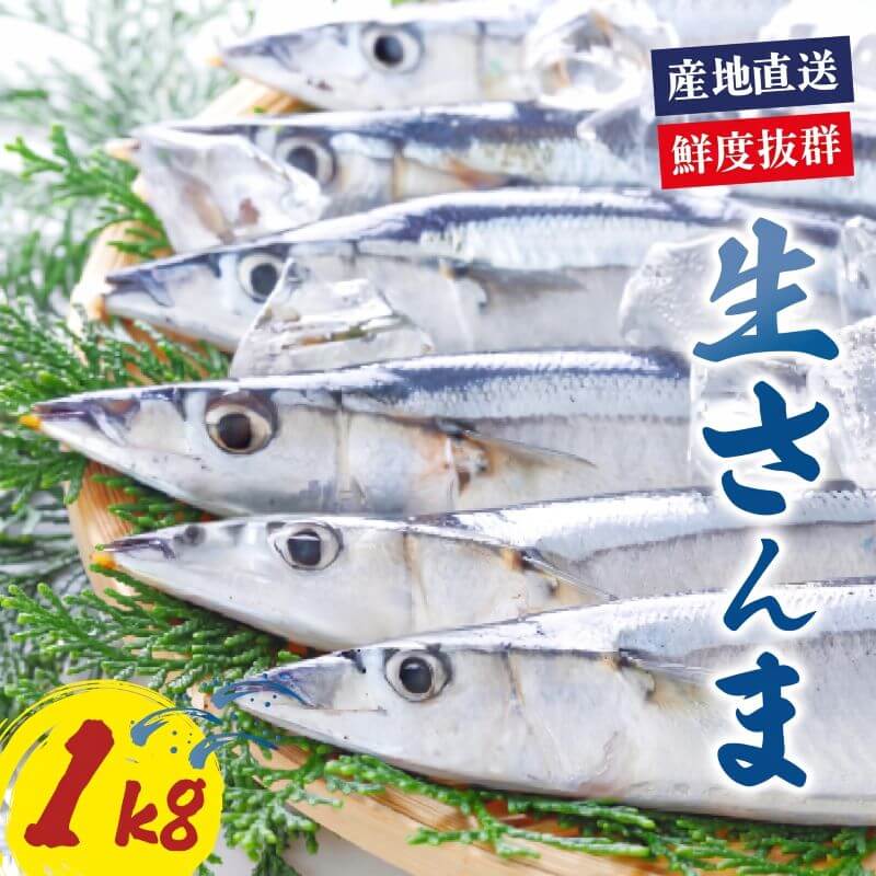 【ふるさと納税】 さんま 約1kg サンマ 冷蔵 生さんま 鮮さんま 秋刀魚 [発送:2026年9月中旬〜11月下旬迄] 限定 期間限定 旬 簡単調理 焼き魚 煮魚 フライ おかず おつまみ 晩酌 米 丼 海産物 海鮮 魚介 魚介類 三陸 岩手県 大船渡市