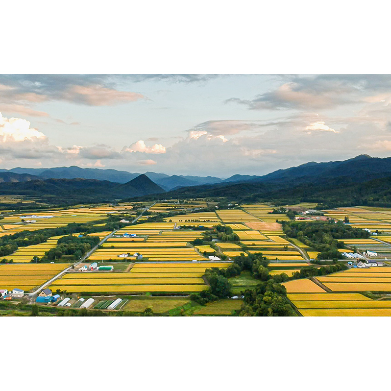 ［令和7年産 先行予約］米 北海道米 900g(ゆめぴりか300g×2袋/ななつぼし300g×1袋) セット 詰め合わせ 新米 白米 精米 お米 おこめ ご飯 ごはん 食べ比べ 単一原料米 ブランド米