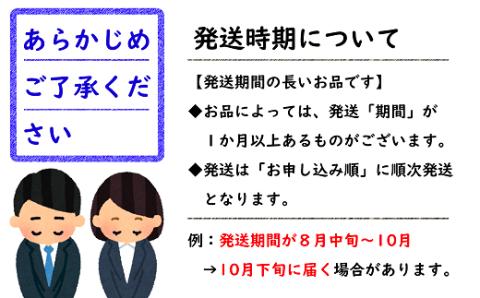 【令和6年産先行予約】 ふじりんご 約3kg (6～10玉 秀品) 《令和6年11月中旬～12月下旬発送》 『フードシステムズ』 山形県 南陽市 [850-R6]