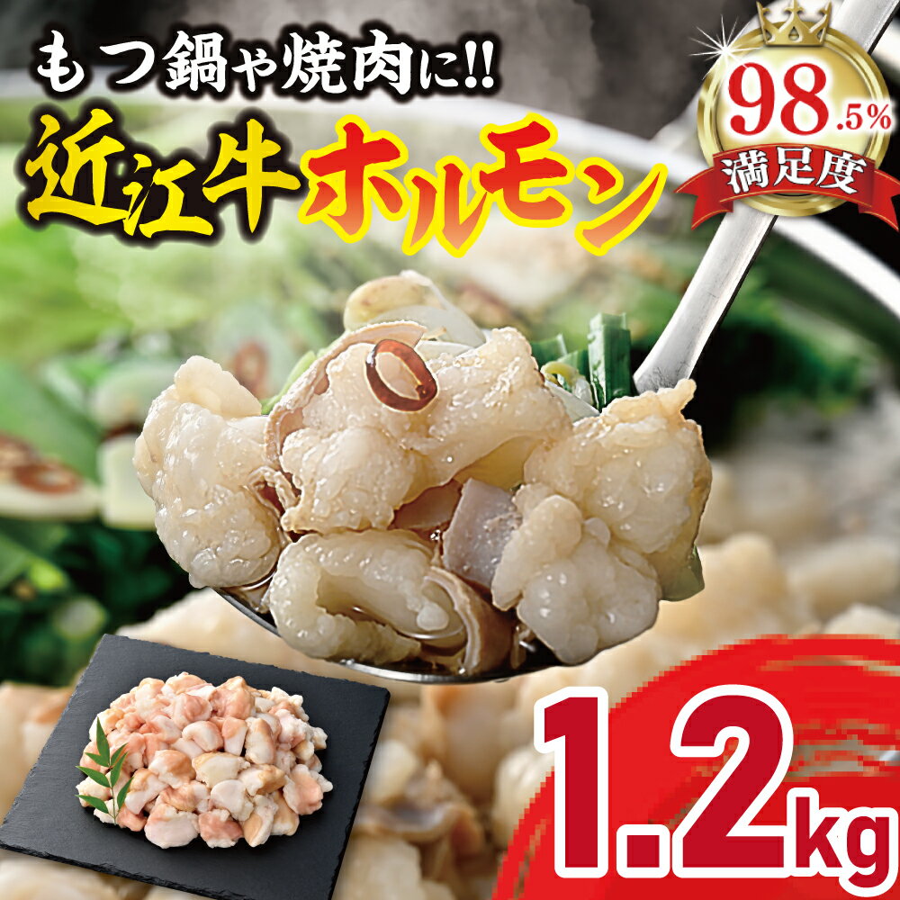 【ふるさと納税】【カメチク】近江牛ホルモン焼肉または鍋用 1200g ホルモン 焼肉 鍋 国産 牛肉 近江牛 冷凍