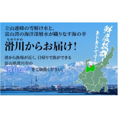 ふるさと納税 滑川市 【冷凍】ボイル紅ズワイガニ 2杯 |  | 01
