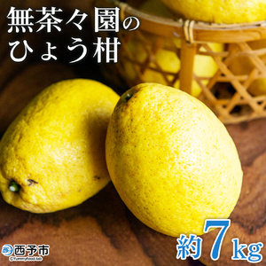 先行予約 ＜無茶々園のひょう柑 約7kg＞ フルーツ 果物 蜜柑 柑橘 ひょうかん 弓削瓢柑 期間限定 季節限定 特産品 愛媛県 西予市【常温】『2025年4月上旬～5月上旬迄に順次出荷予定』AMC0023