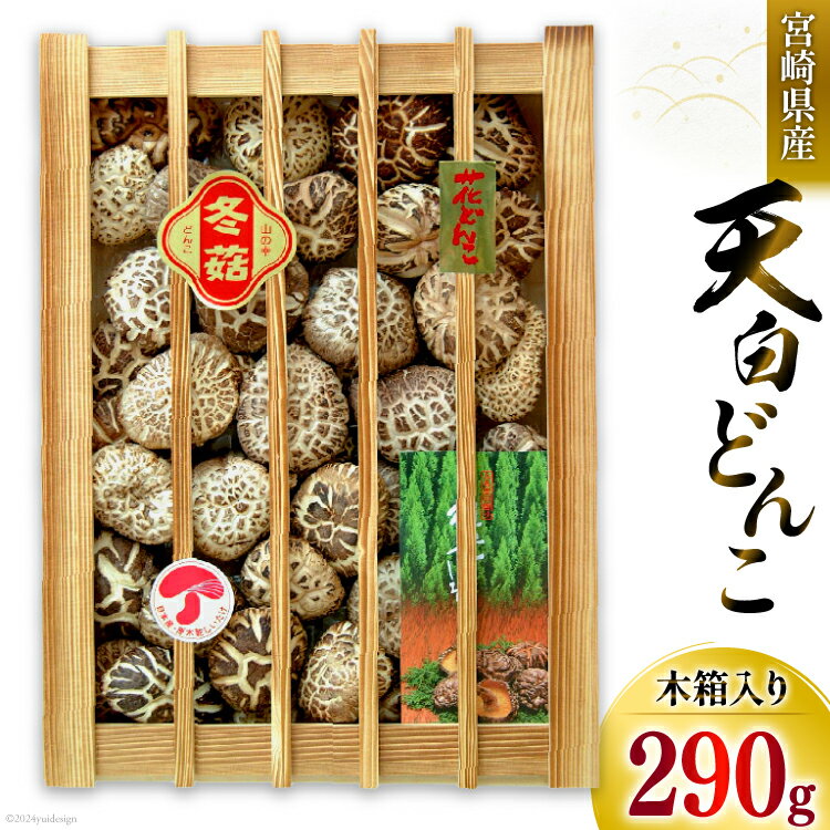 【ふるさと納税】宮崎県産 乾椎茸 ギフト 天白 どんこ 「K-100」 290g 肉厚 [岡田商店 宮崎県 美郷町 31ac0037] 乾燥 椎茸 干し椎茸 しいたけ 国内産 九州産 宮崎県産 ギフト 贈り物 プレゼント 贈答用 化粧箱 木箱 専用箱 送料無料 希少 貴重