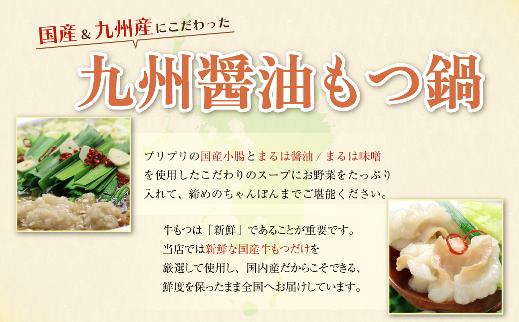 おどろきっちん 博多もつ鍋セット(九州醤油仕立て) 2～3人前 2~3人前・醤油