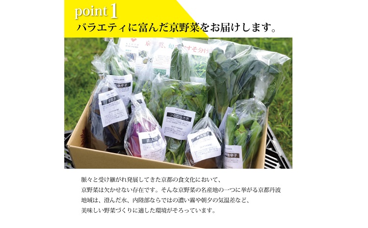 【3回定期便】旬の京野菜　毎月お届けレギュラーコース（全3回） 《野菜定期便 野菜詰め合わせ 野菜セット 京野菜 旬の野菜 新鮮野菜 有機野菜 減農薬》 ※沖縄・その他離島は配送不可 [033KH00