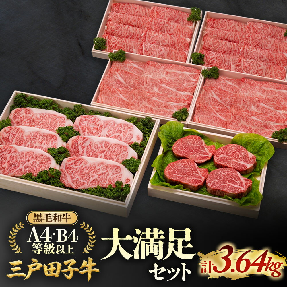 【ふるさと納税】 「三戸田子牛」黒毛和牛 大満足セット 合計3.64kg | リブロース 420g×2 サーロイン 200g×6 ヒレ 150g×4 肩ロース 500g×2 ロース サーロインステーキ ステーキ 高級 A4 A5 B4 B5 希少 希少部位 牛 肉 牛肉 和牛 国産 田子牛 送料無料