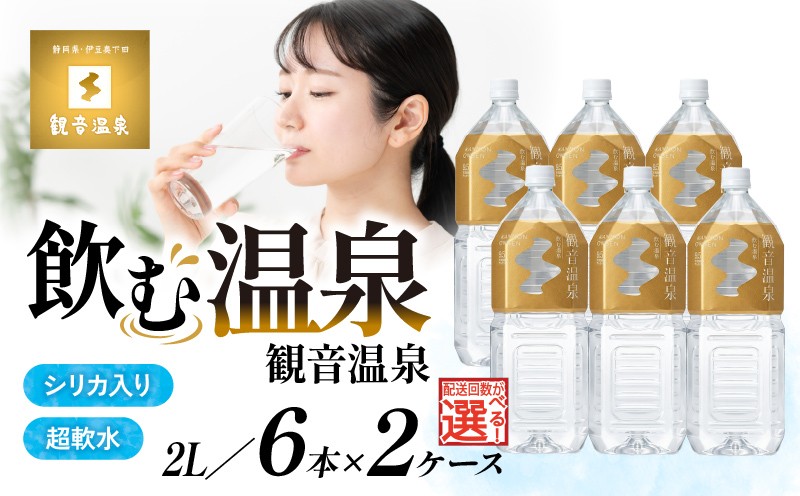 
                  飲む温泉水 温泉水 2L 6本入 2ケース 1回 3回 6回 定期便 選べる回数 国産 飲料 水 料理 シリカ ミネラルウォーター 飲料水 超軟水 強アルカリ単純泉 常温保存 備蓄 観音温泉 静岡県 下田市 伊豆 
                