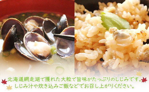 ＜網走湖産＞冷凍しじみ 2kg  ABE006 | しじみ シジミ しじみ シジミ しじみ シジミ しじみ シジミ しじみ シジミ しじみ シジミ しじみ シジミ しじみ シジミ しじみ シジミ しじ