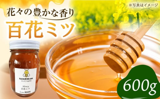 【先行予約】開成町の百花ミツ 600g【合同会社HealthPrime】開成町 蜂蜜 はちみつ ハチミツ 百花 [BDAO002]