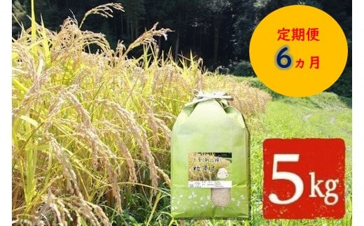 
【令和6年産】【定期便・6ヶ月】【新品種】千葉・粒すけ（精米） 5kg | 米 こめ お米 おこめ 白米 精米 大つぶ 千葉県のブランド米 千葉県 君津市
